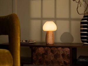 Beer lichtbruin stijlvol oplaadbare lamp-draadloos, dimbaar, milieuvriendelijk ontwerp