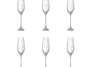 WATERVAL CHAMPAGNE FLUIT-SET VAN 6
