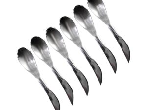 Stel 6 roestvrijstalen lepels/grapefruit in