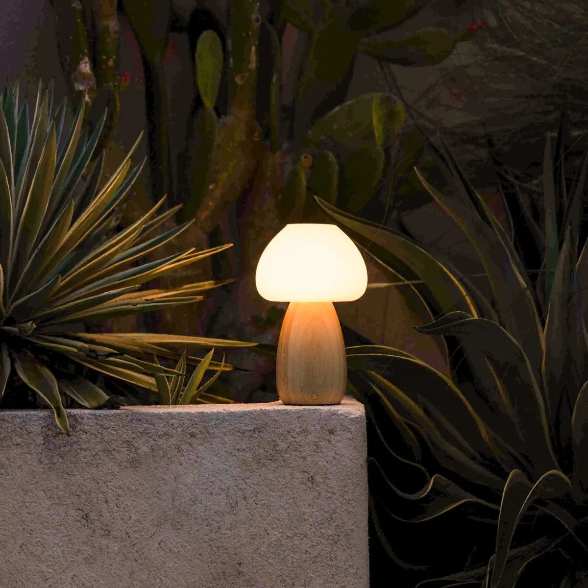 Beer lichtbruin stijlvol oplaadbare lamp-draadloos, dimbaar, milieuvriendelijk ontwerp - Afbeelding 5