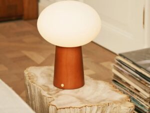 Max kastanje houten draadloze en oplaadbare lamp-milieuvriendelijk ontwerp