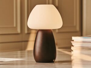 Bear Dark Bruin Stijlvol oplaadbare lamp-draadloos, dimbaar, milieuvriendelijk ontwerp
