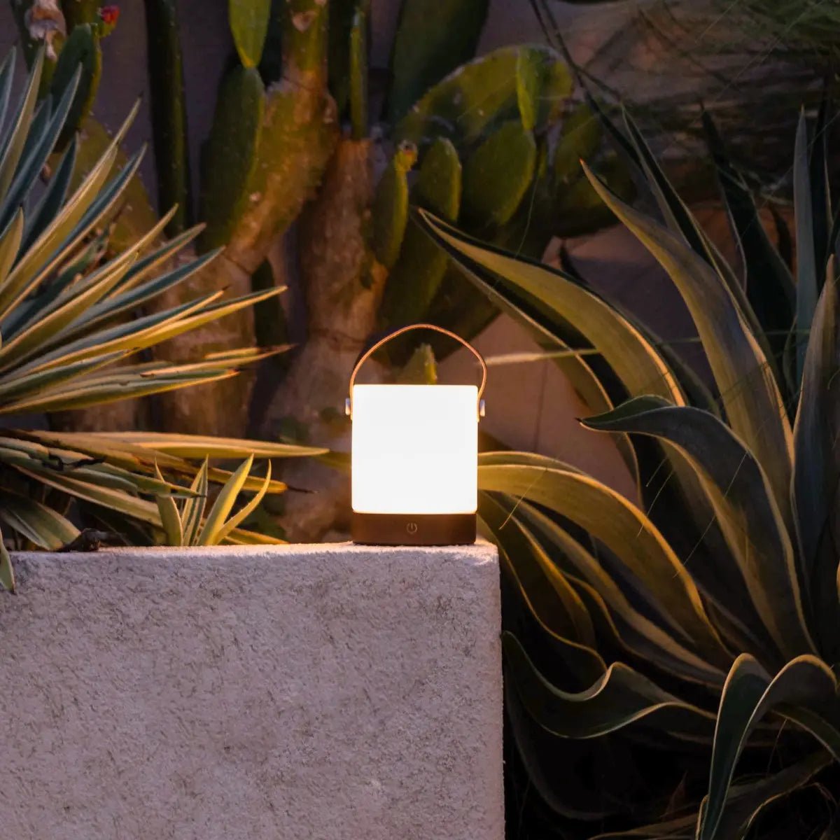 Avery donkerbruine oplaadbare houten tafellamp – draadloos en dimbaar met leren band - Afbeelding 5