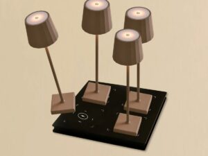 Combi Set Professional-4 X Wouter Koala Brown Oplaadbare tafellampen & 1 x Amstel Wireless Laying Station met Qi-Technology