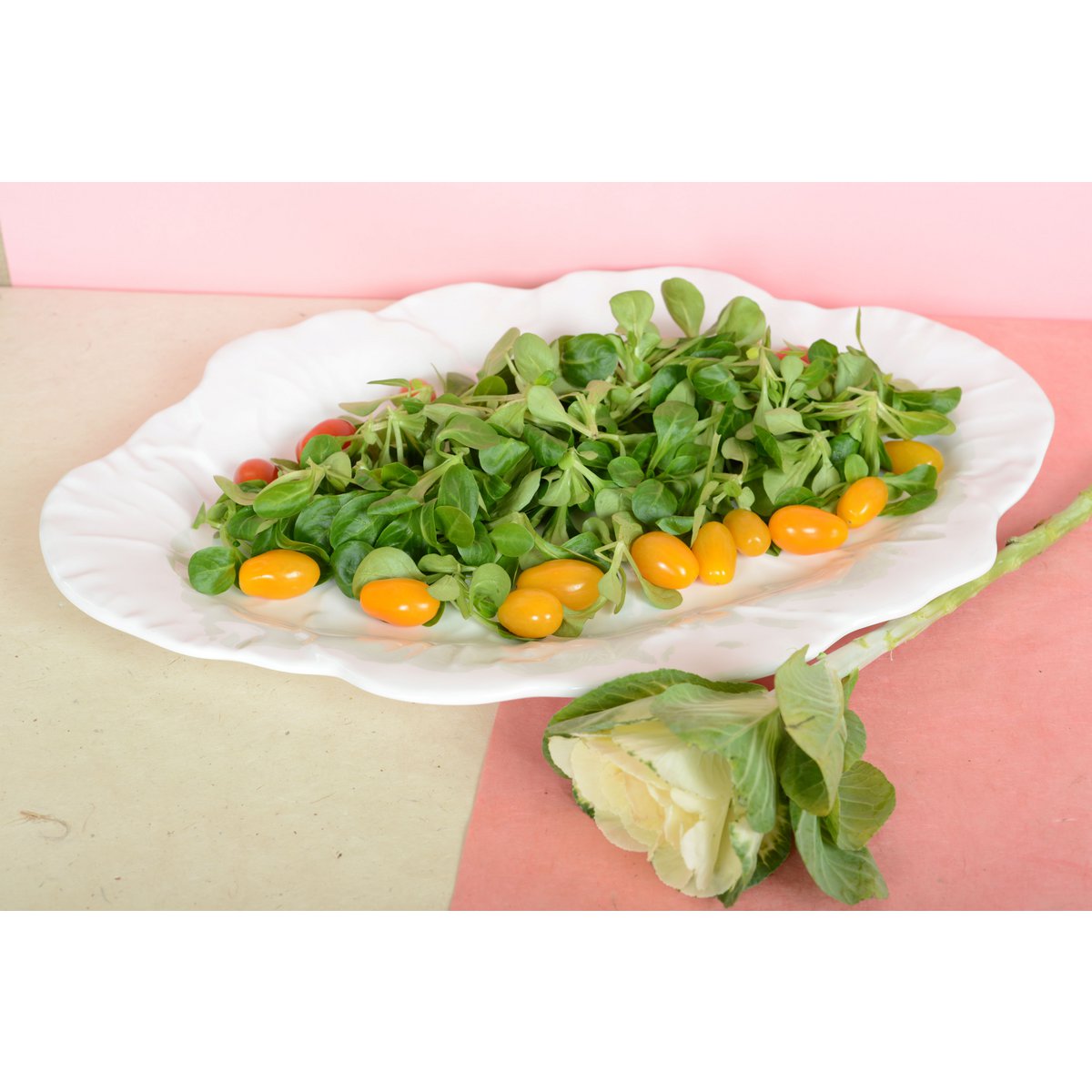 Wit ovaal gerecht in melamine 50x40x2cm - Afbeelding 4