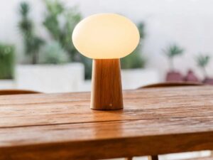 Max lichtbruine houten oplaadbare tafellamp met glas en oplaadbare batterij | Dimbare en veelzijdige verlichting