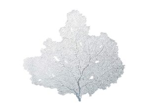 ZILVEREN BOOMONDERZETTER