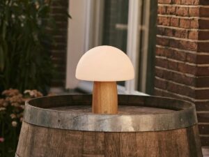 Mia lichtbruin stijlvolle houten tafellamp met dimmer - hout, functioneel en subtiel