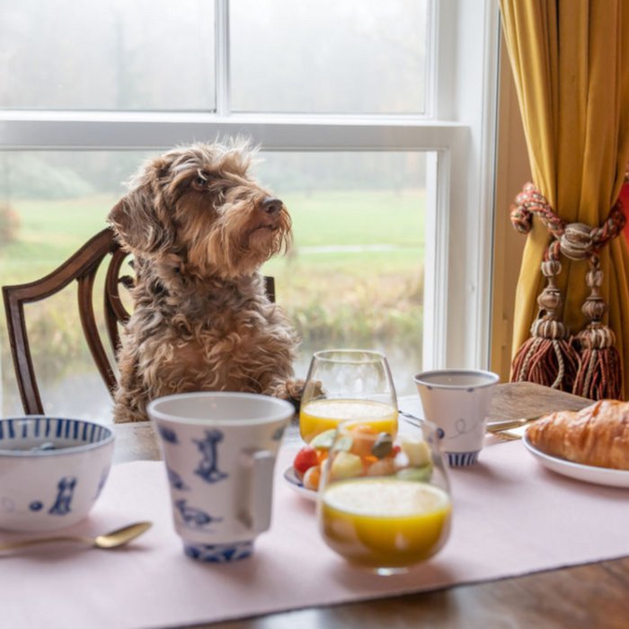 Theemok Teckel Nhaan 350 ML - Afbeelding 3